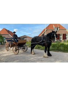 Rondje Kunst met rijtuig