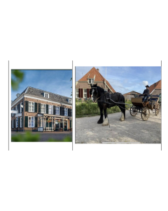 Luxe rijtuigrit De Goudenkarper