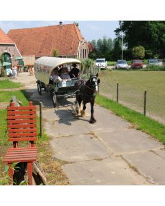 Rondje Kunst met rijtuig