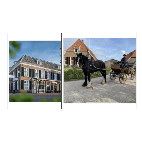 Luxe rijtuigrit De Goudenkarper