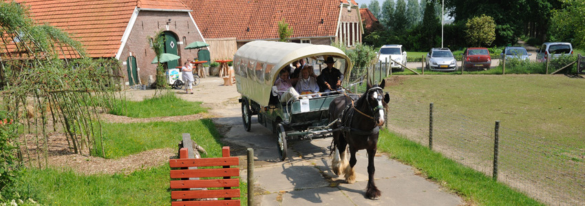 Welkom op De Klevenhorst