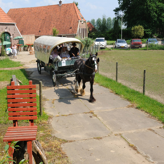 Welkom op De Klevenhorst